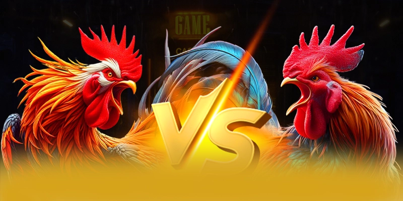 Trải nghiệm đa nền tảng cùng 8xbet