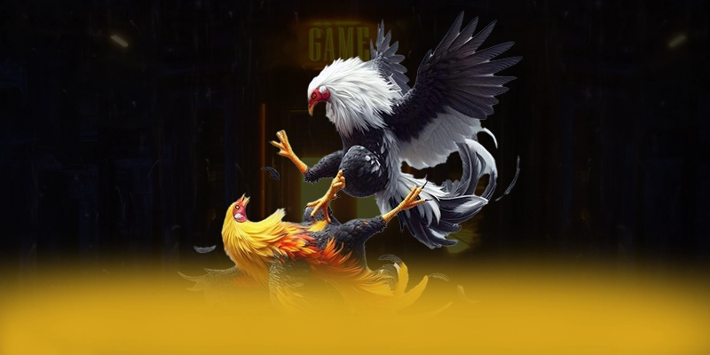 GOOD88 - Cổng giải trí được game thủ yêu thích tại Việt Nam GOOD88 - Cổng giải trí được game thủ yêu thích tại Việt Nam