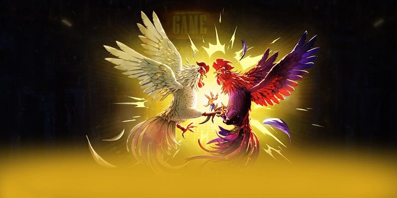Đánh giá FB88 - Sảnh game hàng đầu Việt Nam trên thị trường Đánh giá FB88 - Sảnh game hàng đầu Việt Nam trên thị trường